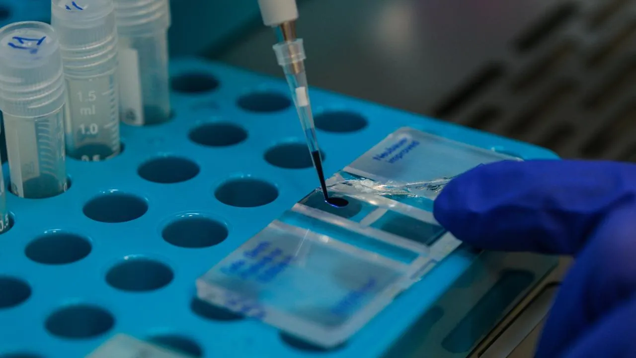 KKKA aşısı için klinik öncesi çalışmalarda sona gelindi