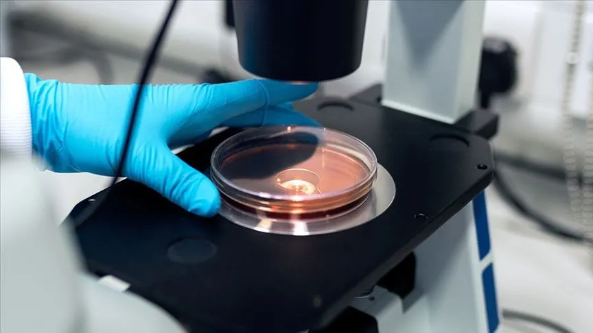 Erciyes Üniversitesinde araştırmacılar, koronavirüsü hücre kültüründe izole etmeyi başardı.